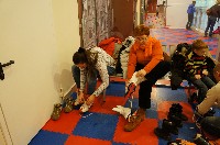 �����������